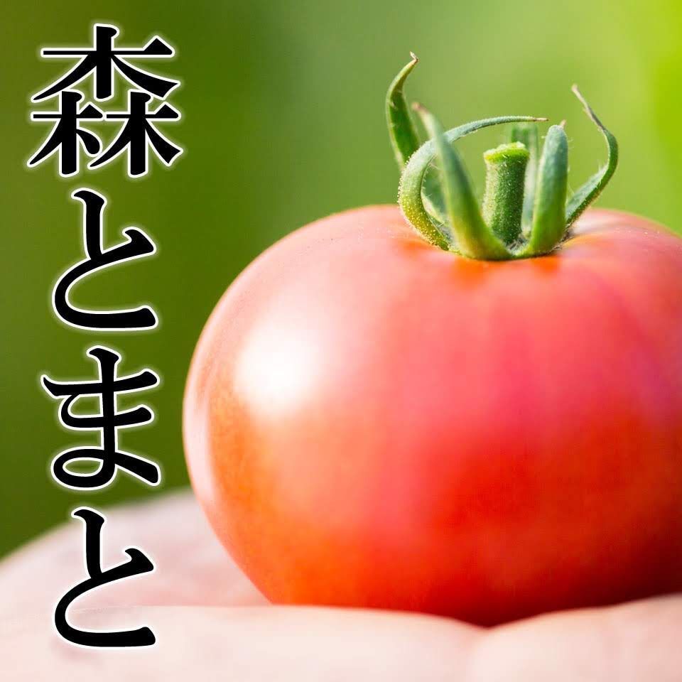 宮崎県産　フルーツトマト　1kg入　24玉から9玉-5