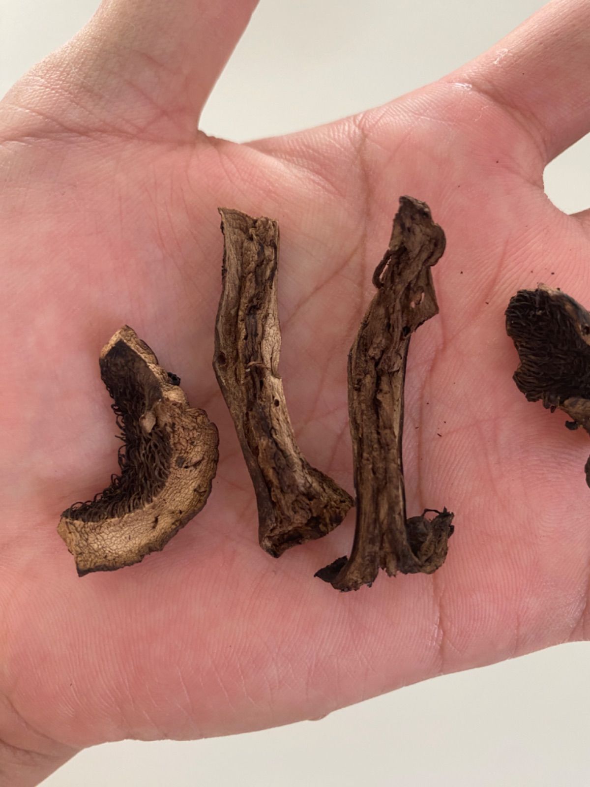 2025年採り】岩手産乾燥香茸20g【カット済】- メルカリ