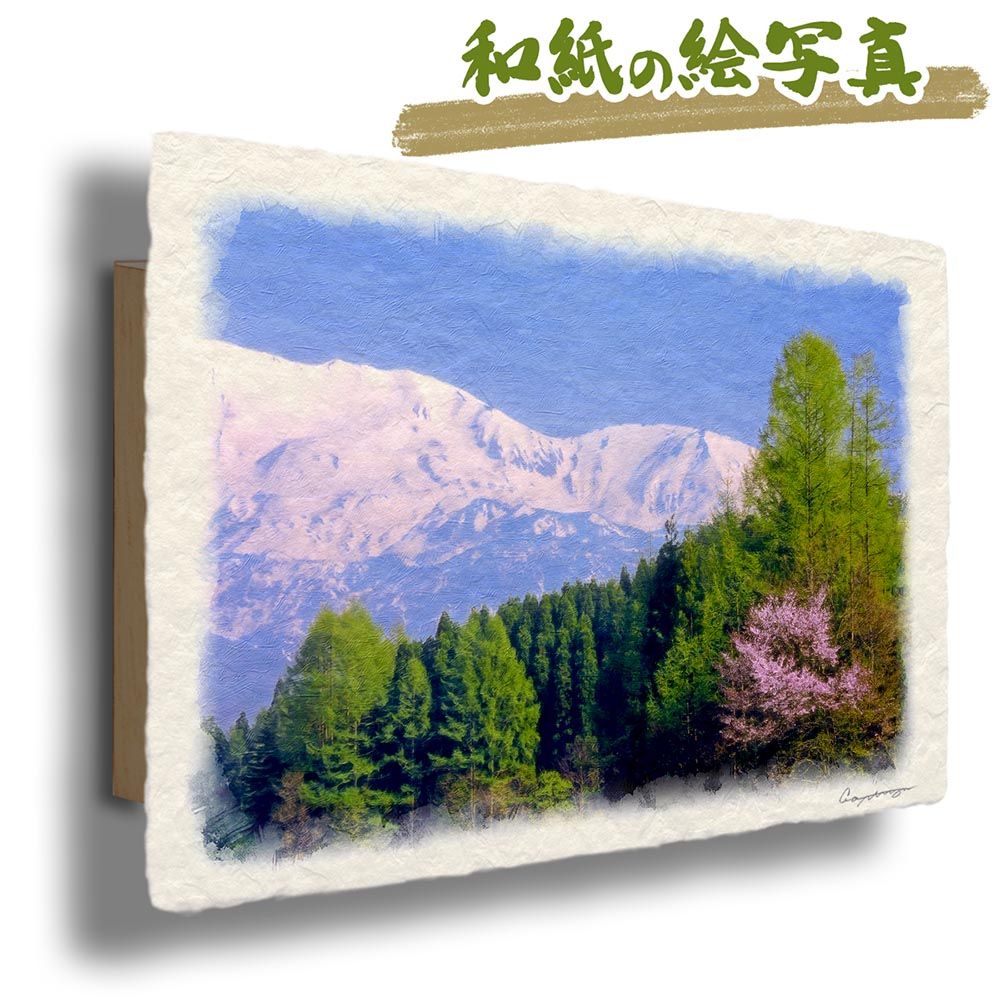 和紙の絵写真 ストア 「残雪の北アルプスと新緑のカラマツと山桜