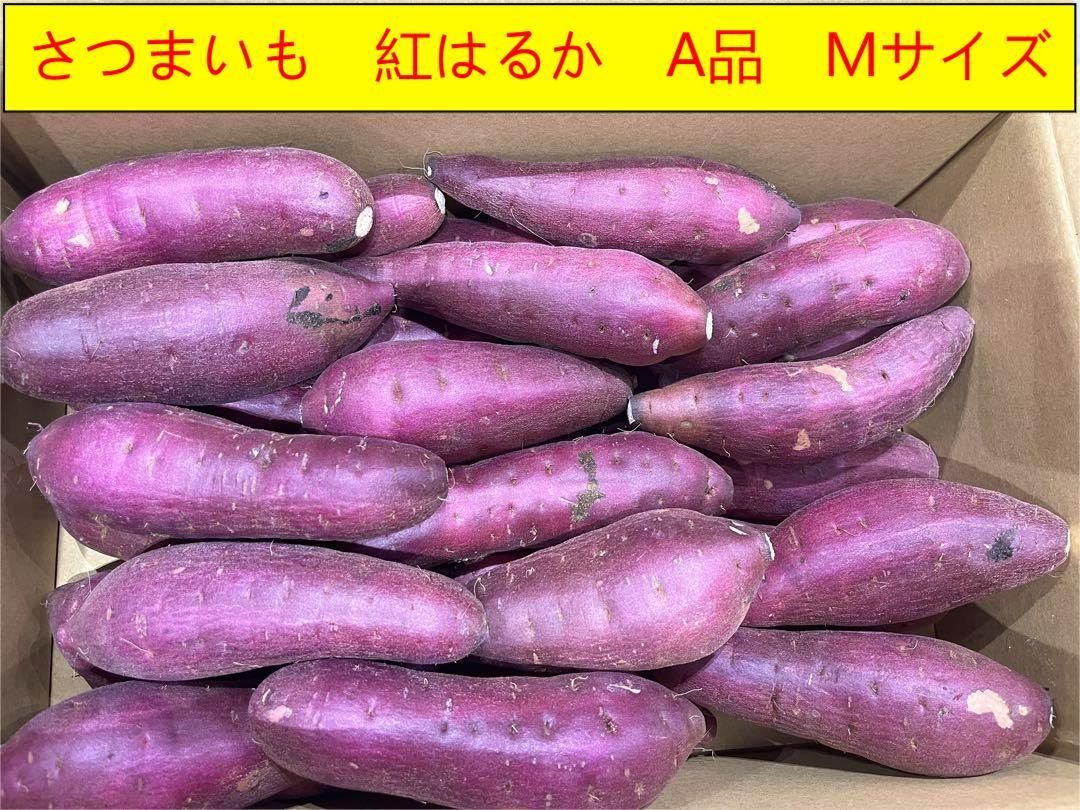 さつまいも 紅はるか 10キロ秀品 - 野菜