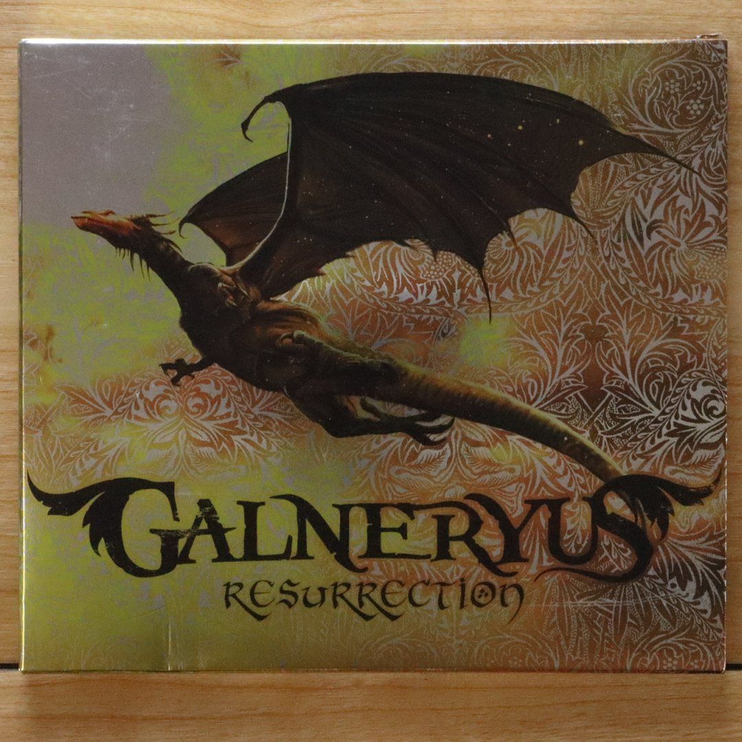 GALNERYUS/United Flag/CD-R/ガルネリウス/オマケ付 Amazon.co.jp: The Flag Of Punishment - Galneryus: ミュージック
