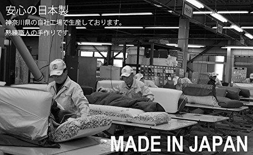  セルタン 座椅子 高反発 カバーが洗える 堕落チェア 上タイプ ダリアンブラウン A 565 UEa-561 BR その他 フェイスケア