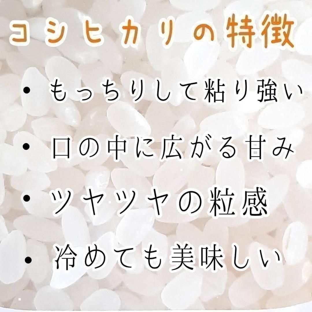 特別セール！玄米限定 令和3年 埼玉県産コシヒカリ 玄米 30kg