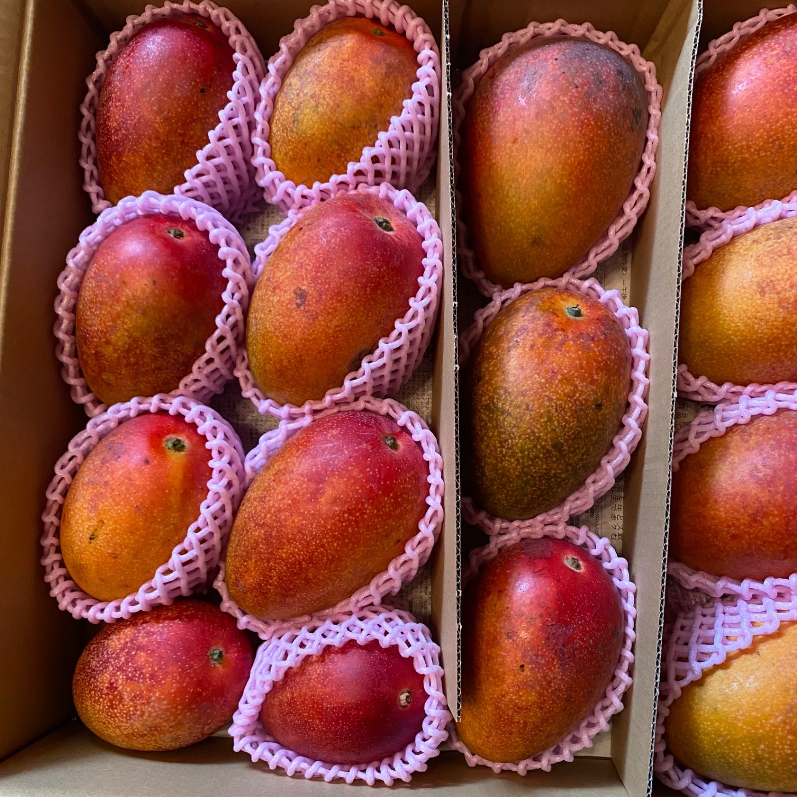 【訳ありヤワ　黒点】宮崎完熟マンゴー 9玉 3k ※理解ある方のみ※ 訳あり宮崎マンゴー 9kg 19玉 黒点・ヤワ 家庭用 - メルカリ