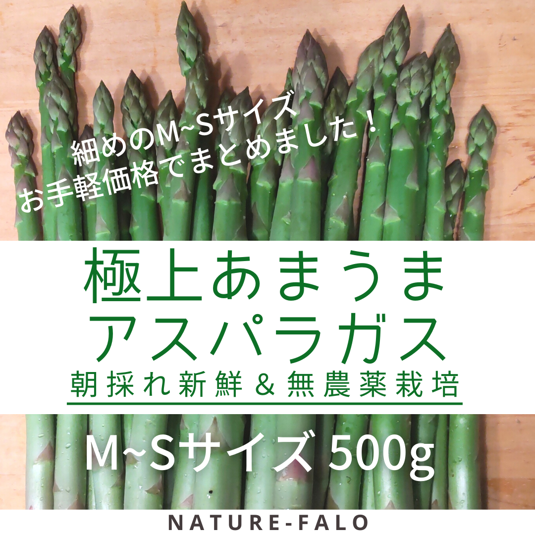 2021新商品無農薬アスパラガス サイズいろいろ 野菜 | sos.cafe