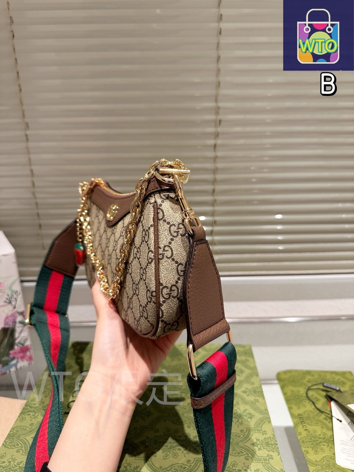 今日 Gucci 2025 年 Ophidia レトロダブル G キャンバス スモール アームピットバッグ-WTO輸入 DECORATOM_COM_BR