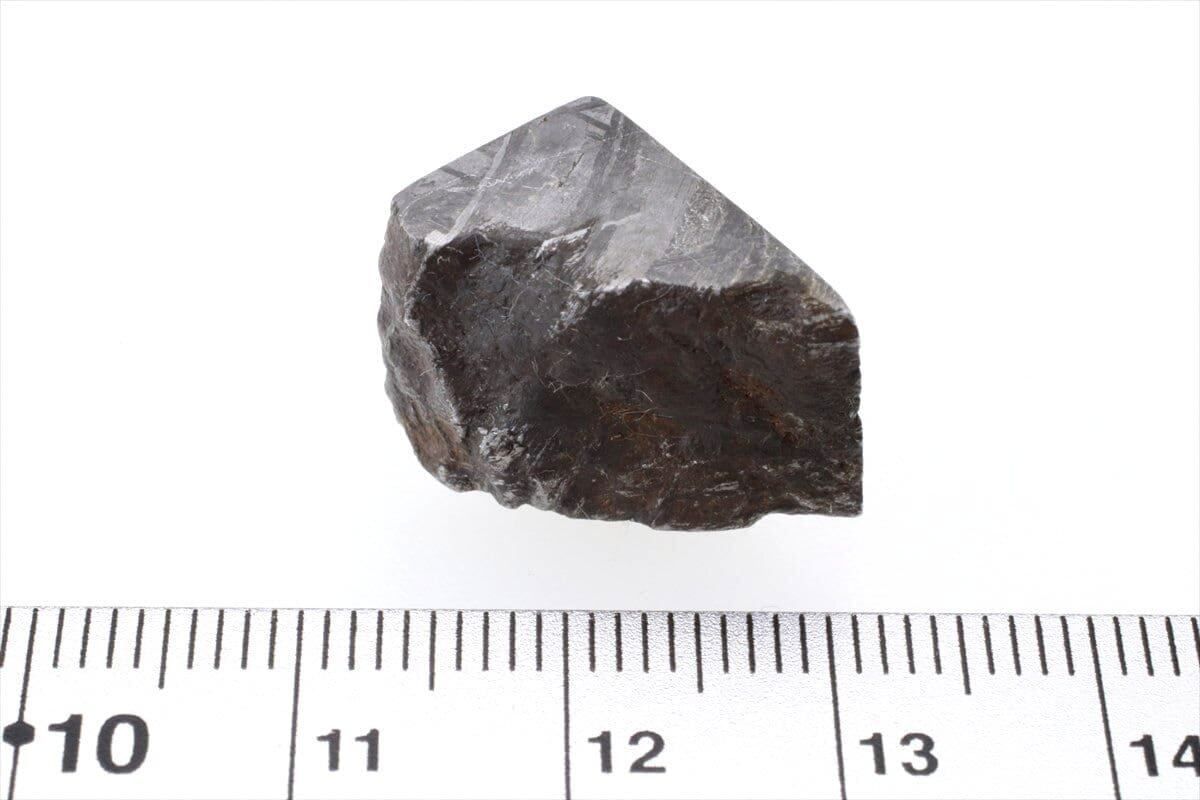 ムオニオナルスタ隕石 標本 124g ムオニオナルスタ鉄隕石標本: 天然ウェステンデン パターン