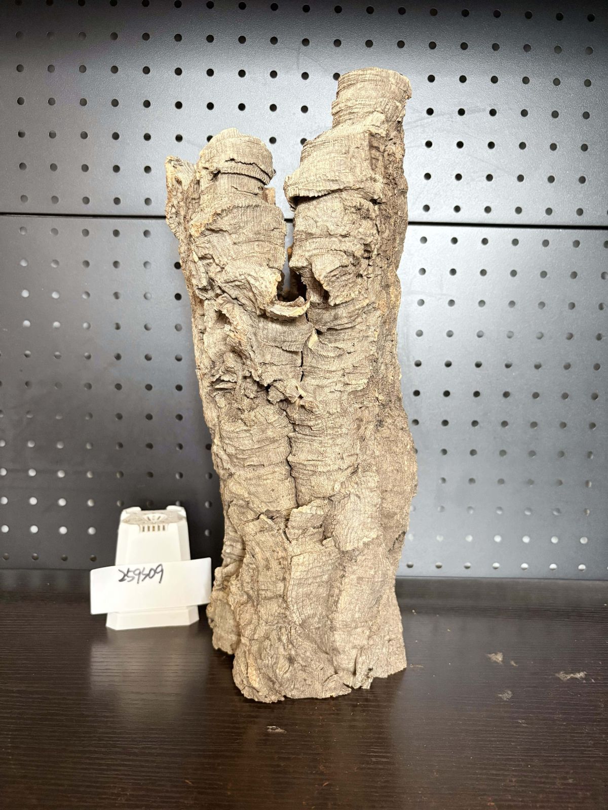 259S09 ポルトガル産 キャノンコルク コルク樹皮 コルク板 バージンコルク 送料無料 チランジア ビカクシダ 着生ラン 両生類 爬虫類