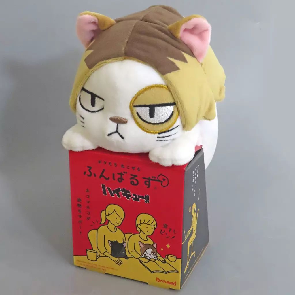 中古】クッション・本体 ケンマネコ(孤爪研磨) ふんばるず