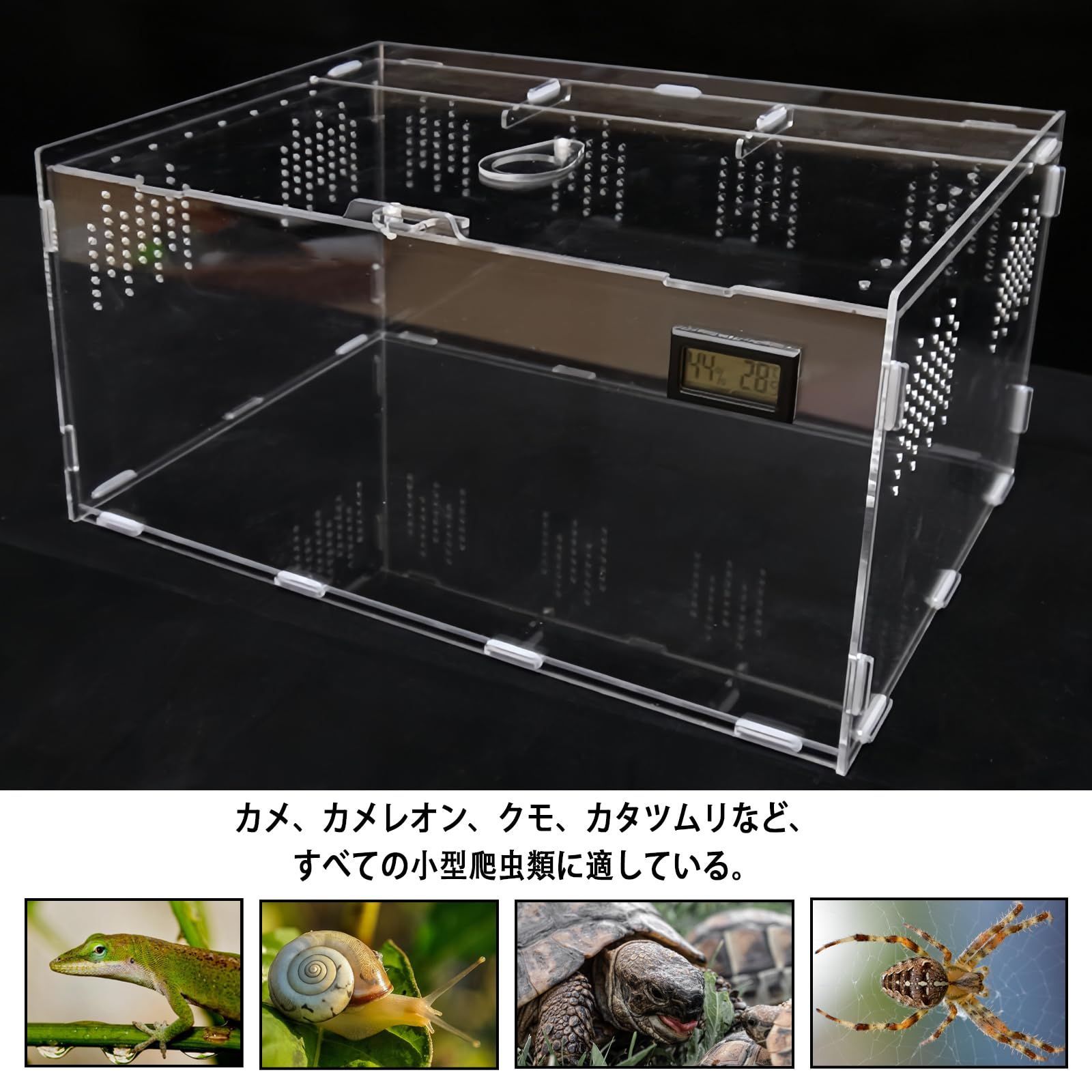 爬虫類飼育ケース　カナヘビ　トカゲ Amazon | 爬虫類 ケージ トカゲ ケージ カナヘビ飼育ケース