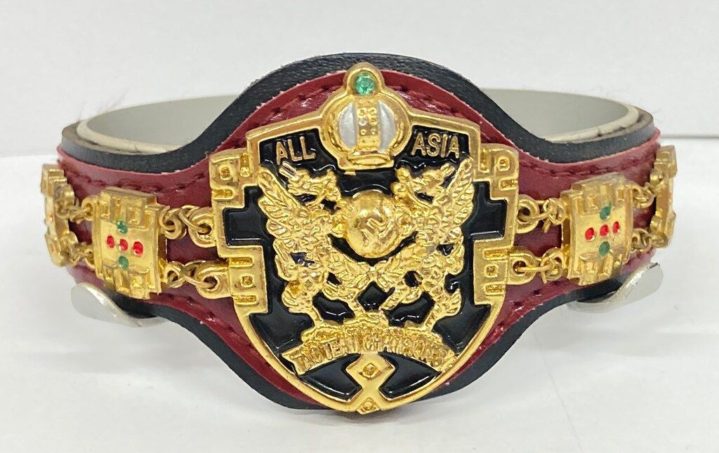 全日本プロレス チャンピオンベルトフィギュア 全11種 シークレット