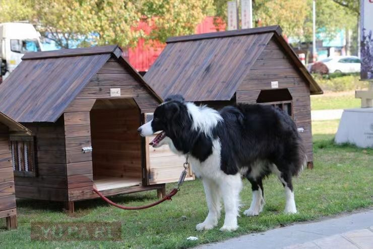 豪華犬別荘 ペットハウス