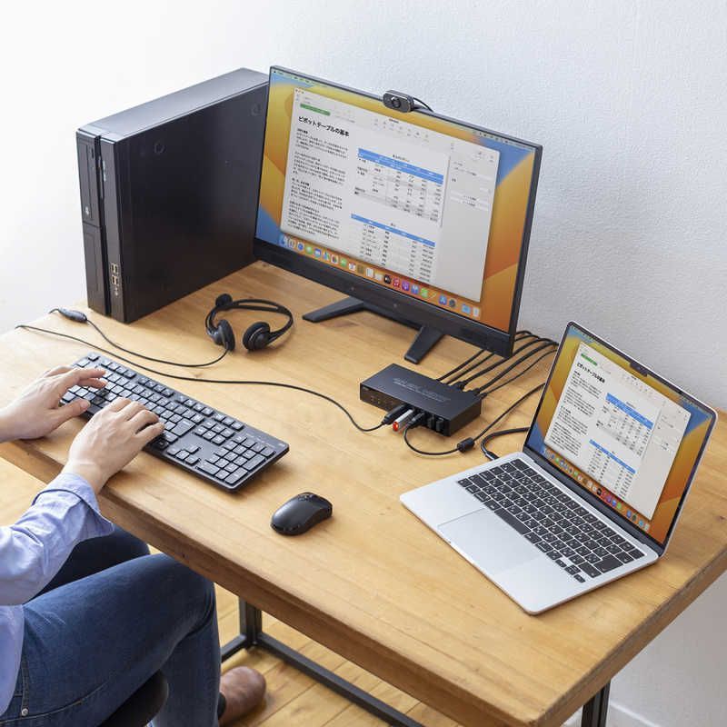 未開梱 サンワサプライ Type-C接続 HDMI接続対応パソコン切替器 エミュレーション非搭載 SW-KVM2DK CHRISTIANNAURATH_COM_BR