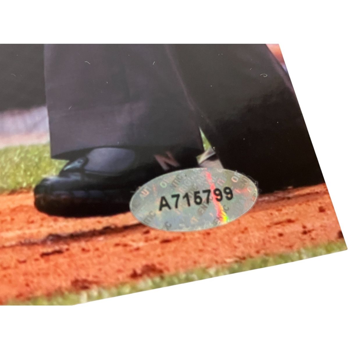 Alex Rodriguez アレックス・ ロドリゲス 直筆サイン入り写真