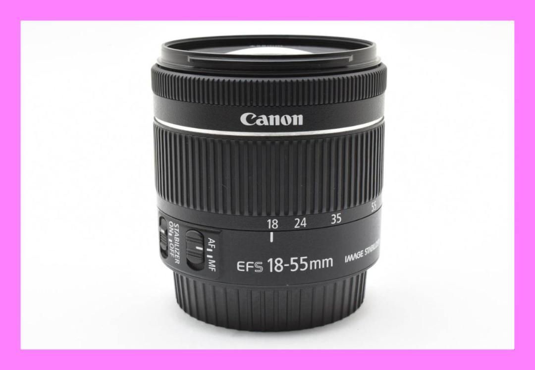 キャノン用 Canon EF-S 55-250mm F4-5.6 公式 IS STM キャノン キャノン用 Canon EF-S 55-250mm F4-5.6 公式 IS STM キャノン