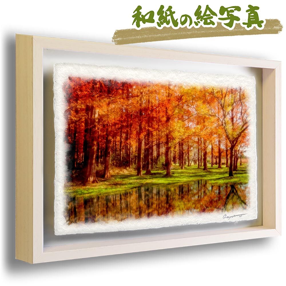 和紙の絵写真 「湖に映る黄葉のメタセコイアの森」 立体額縁付き