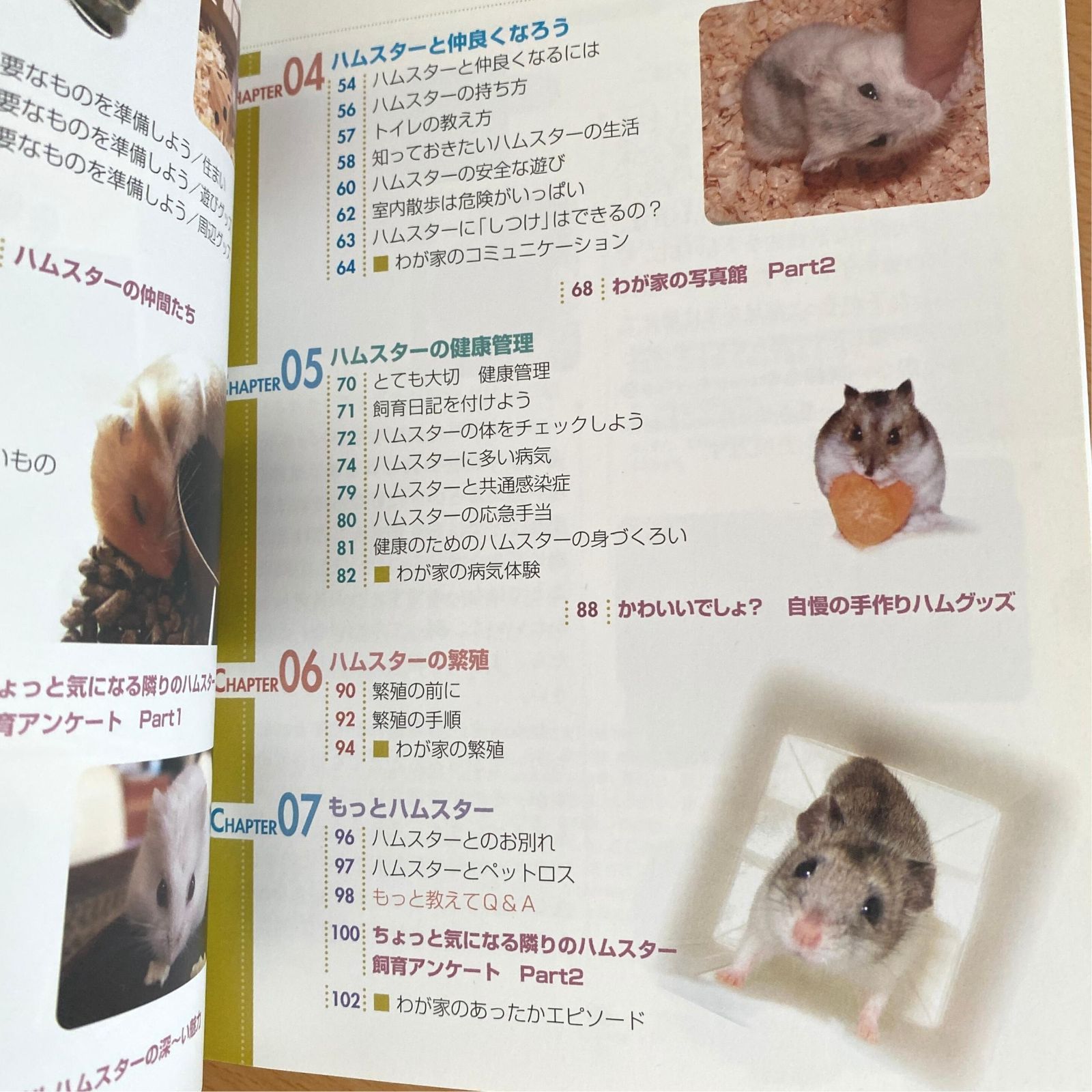 ハムスター 飼育セット 『匿名発送』 - 冷暖房・季節用品