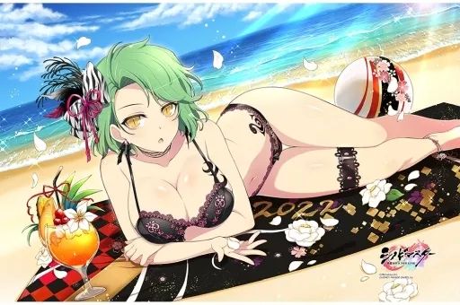 抱き枕カバー シーツ ブランケット 日影 タオルケット シノビマスター 閃乱カグラ NEW LINK