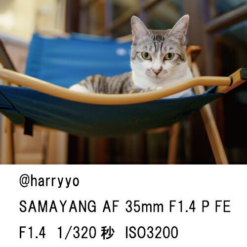  即配 KT AF 35 mm F 1.4 P FE ソニーFEマウント SAMYANG サムヤン その他 望遠鏡 光学機器