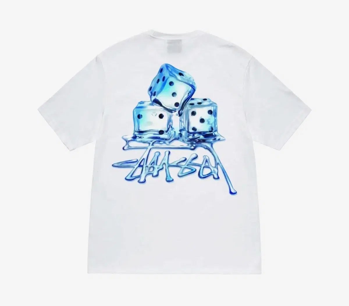 S サイズ STUSSY ステューシー 溶けた Tシャツ 白
