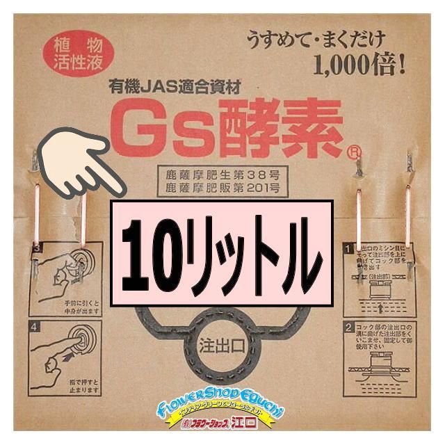 ＊Gs酵素-10L×1箱 植物活性液＊化学薬品等を一切使用していないオーガニック 有機JAS規格適合資材 ＊家庭菜園 花壇 花や野菜 鉢花 草花 プランター 生産者＊糖 カルシウム 亜鉛パワーで植物元気 1 000倍に薄めてまくだけ フラワーショップ江口