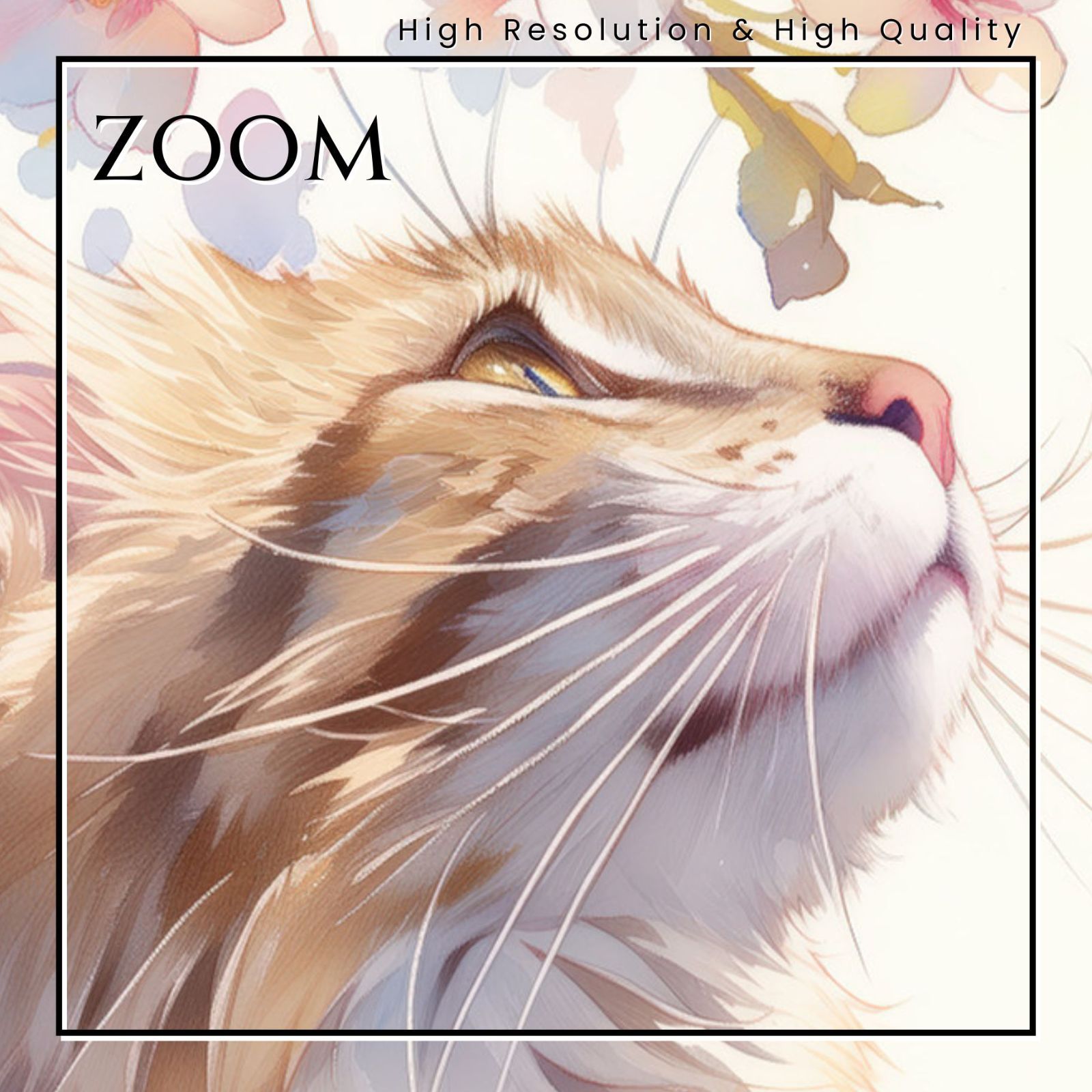 花びら 子猫