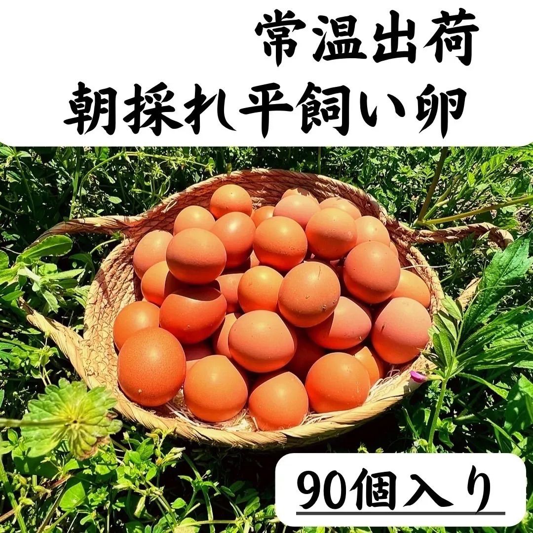 90個入 宮下養鶏の朝採れ平飼い卵 - メルカリ 90個入 宮下養鶏の朝採れ平飼い卵 - メルカリ
