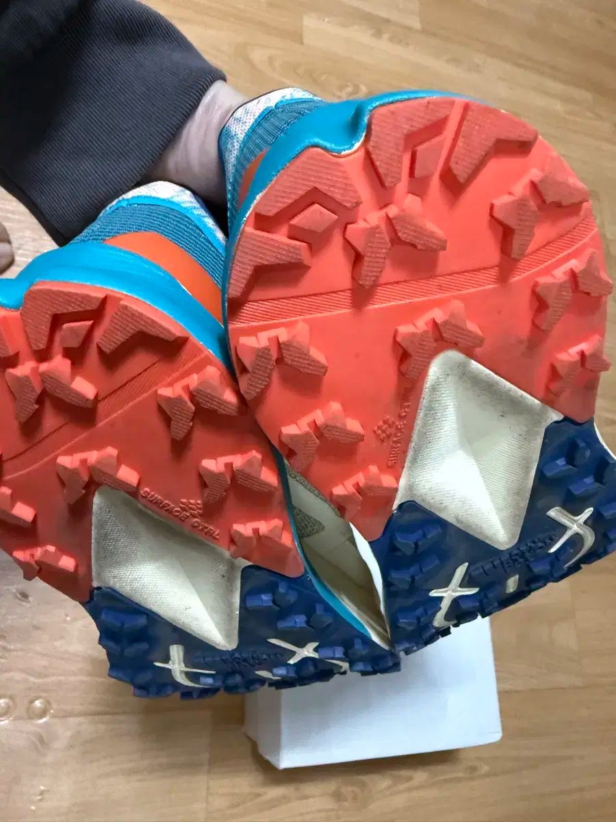 THE NORTH FACE ザノースフェイス トレッキング ランニングシューズ 245 HRDEVELOPMENT_JP