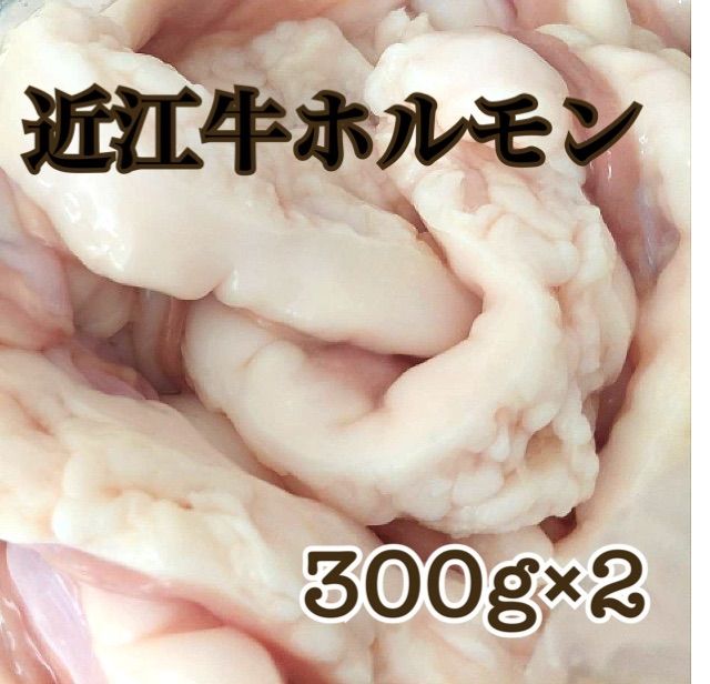 国産　新鮮！！　近江牛小腸　もつ鍋　モツ　ホルモン　鉄板焼　小腸　ホソ-1