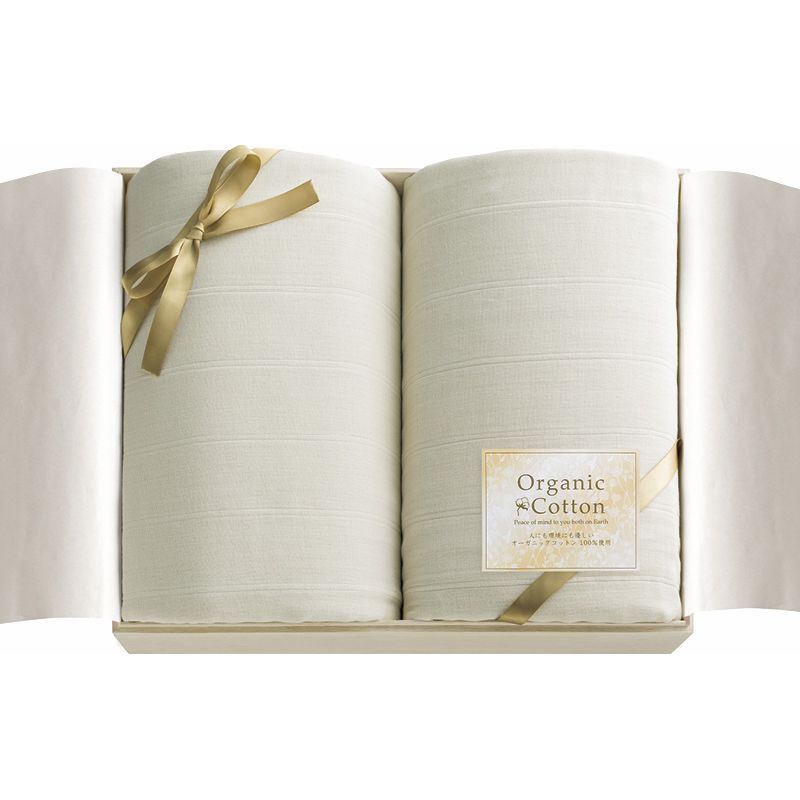 No4974 布志名焼 船木伸児 緑釉金彩三日月形皿 共箱/栞付 民藝