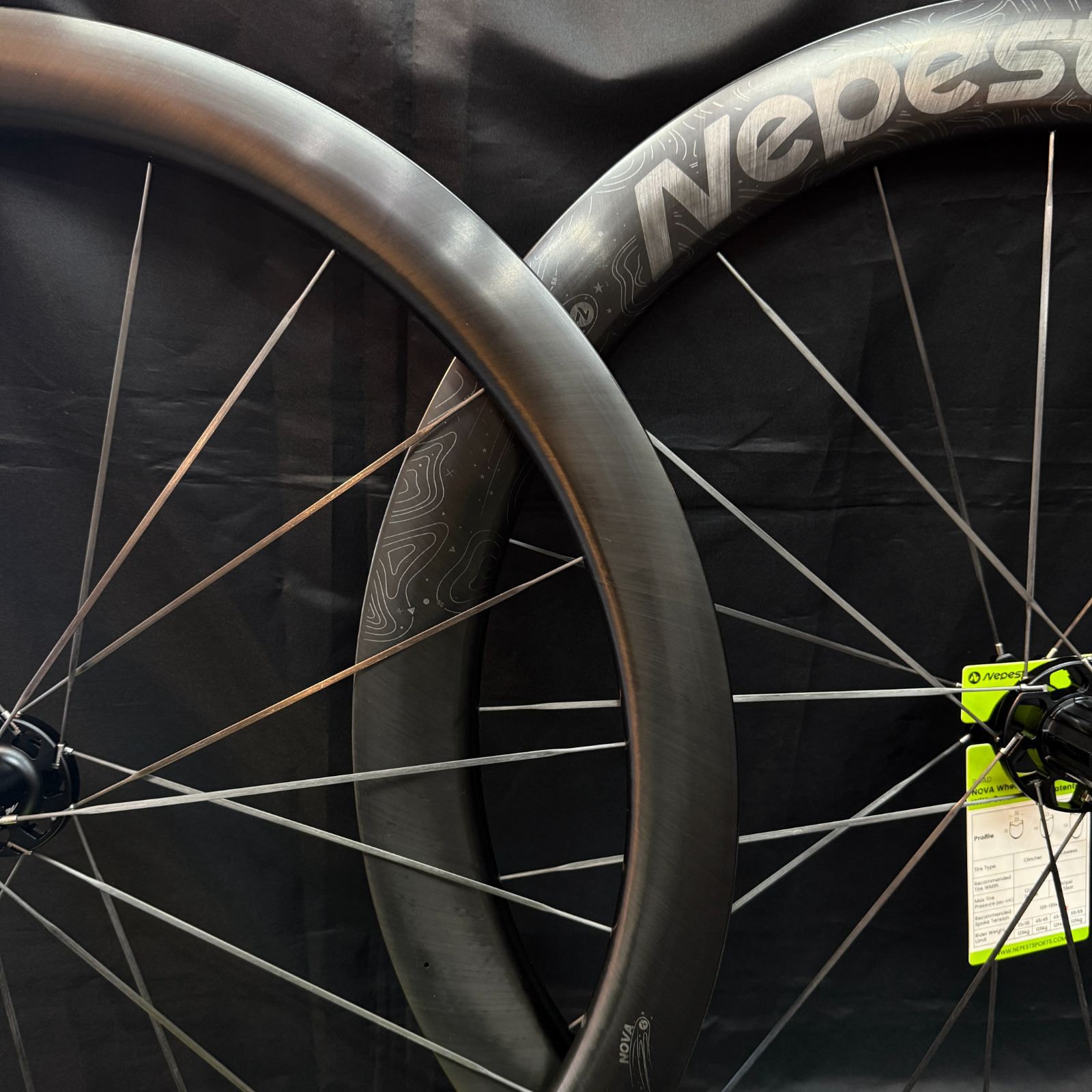 Nepest nova55mmハイト　リアのみ　シマノフリー54ノッチ Nepest nova55mmハイト リアのみ シマノフリー54ノッチ Nepest