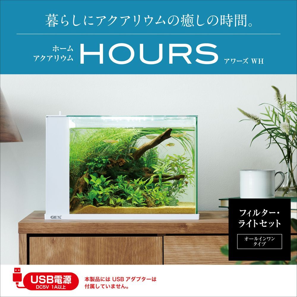 GEX アワーズ