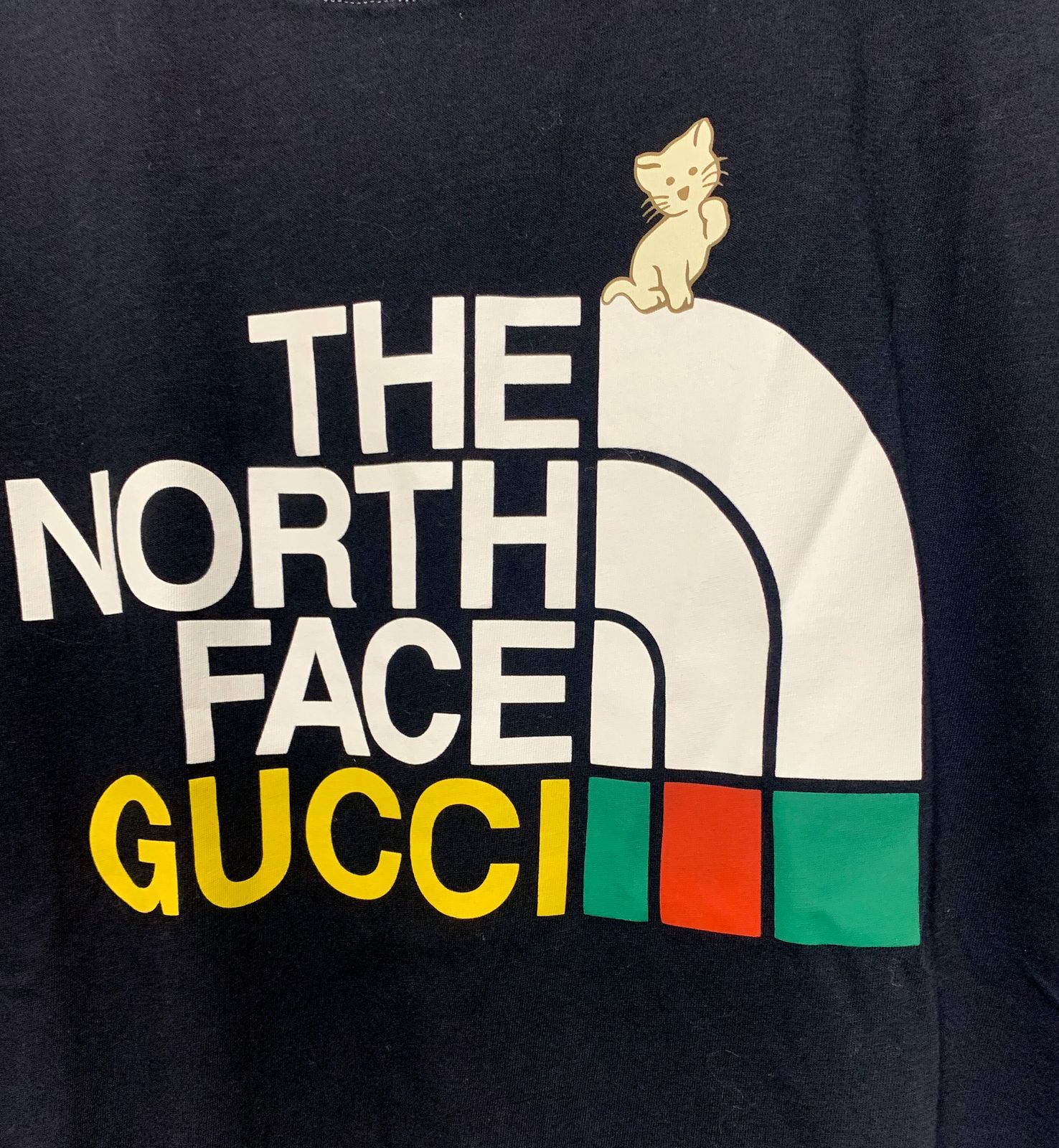 GUCCI x THE NORTH FACE グッチ x ノースフェイス コラボ Tシャツ