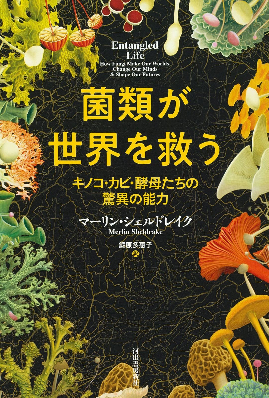 日本変形菌類図鑑 ☆「日本変形菌類図鑑」萩原博光 他解説 ☆「粘菌の