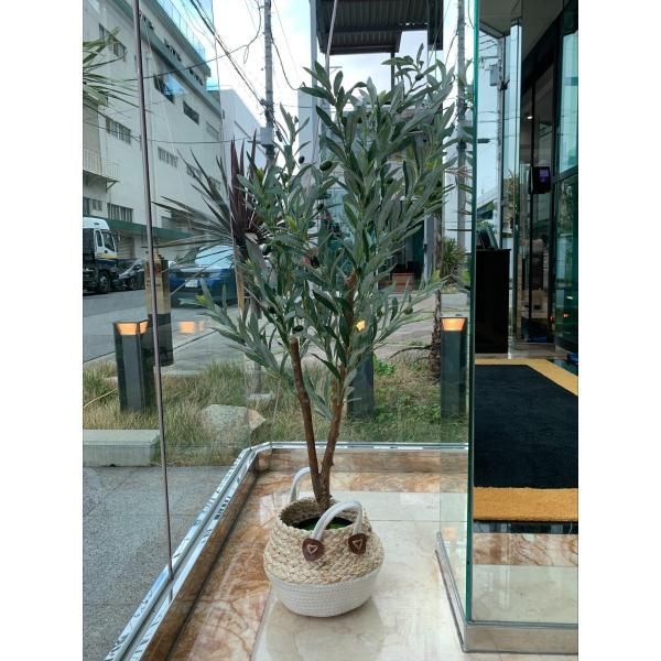 フェイクグリーン オリーブ 125cm 大型 鉢付き 観葉植物フェイク フェイクグリーン オリーブ 125cm 大型 鉢付き 観葉植物フェイク