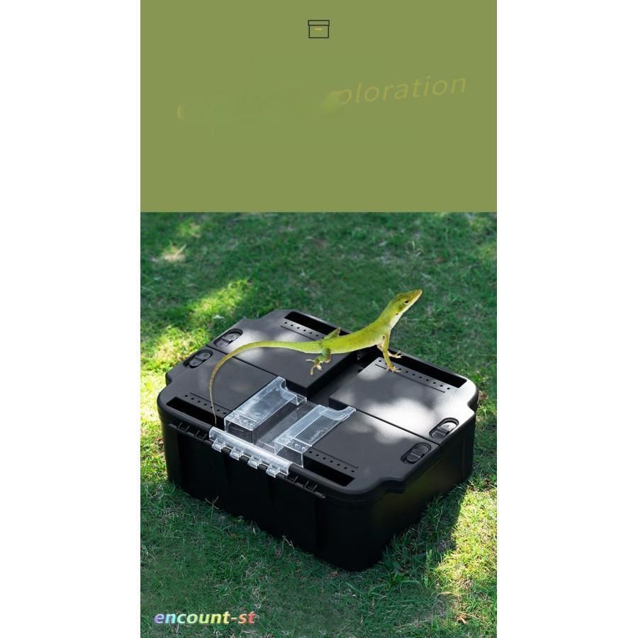 な爬虫類ボックス 屋外の野生の収穫の爬虫類の箱