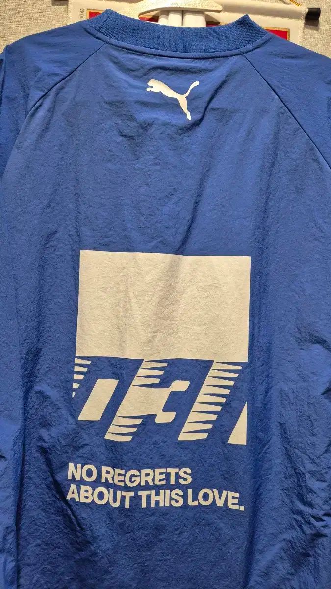 水原三星ブルーウィングス LIBILLY