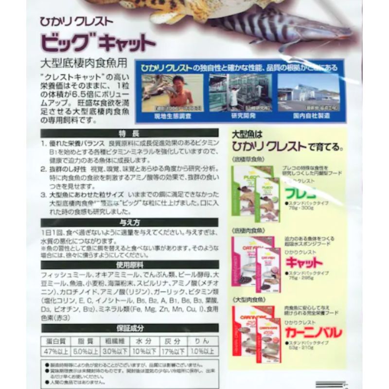 ✟ キョーリン
