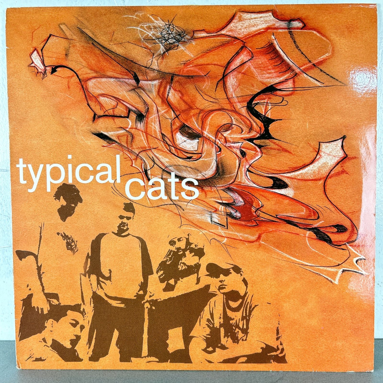 Typical Cats – Typical Cats