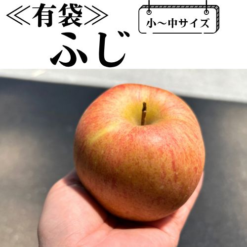 楽天市場】【青森県産】 訳あり有袋ふじ3kgダンボール・モールド