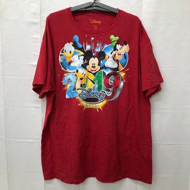 USAvintageアメリカ古着フロリダディズニープリンセスキャラクターTシャツ USAvintageアメリカ古着フロリダディズニープリンセス