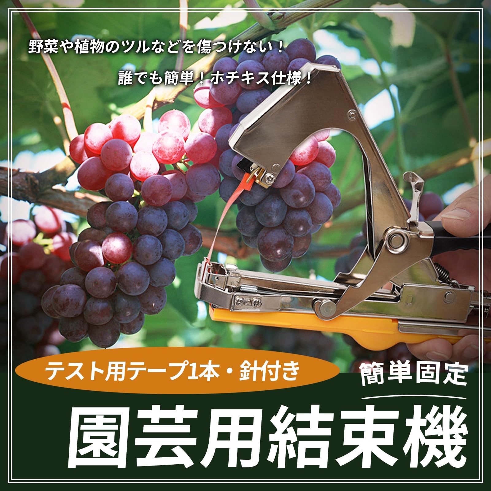 シトリン ガーデン ランドスケープ エッジングキット 高さ4 