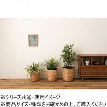 東谷 プランター