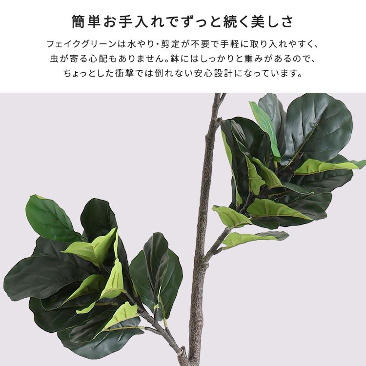 Sサイズ