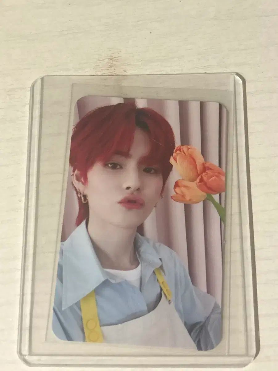 TREASURE(トレジャー) ヨシ(YOSHI・金本 芳典) トレカ