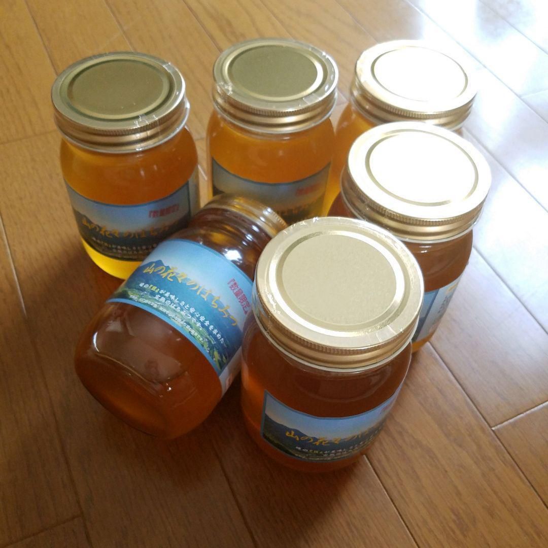 国産純粋 山蜂蜜　600g　×6本 国産純粋 山蜂蜜600g ×6本