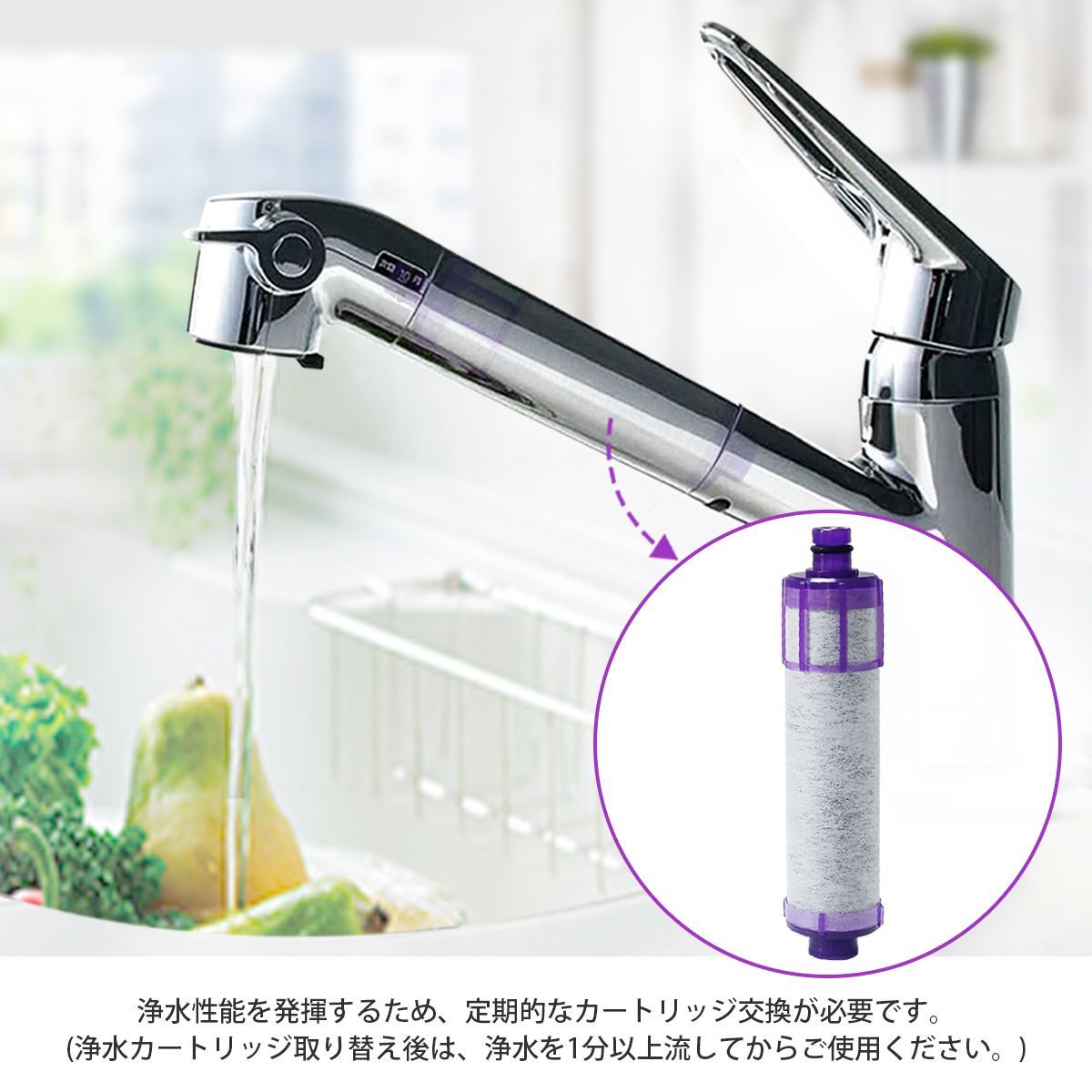 タカギ 浄水器交換カートリッジ JC0066 タカギ みず工房 浄水器 交換