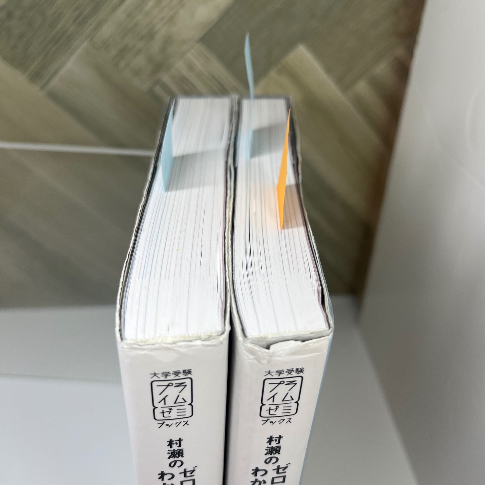 書込みあり】村瀬のゼロからわかる地理B 地誌編 系統地理編 【2