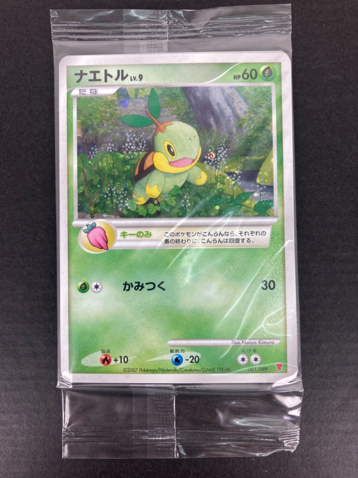 ポケモンカード ナエトル ヒコザル ポッチャマ
