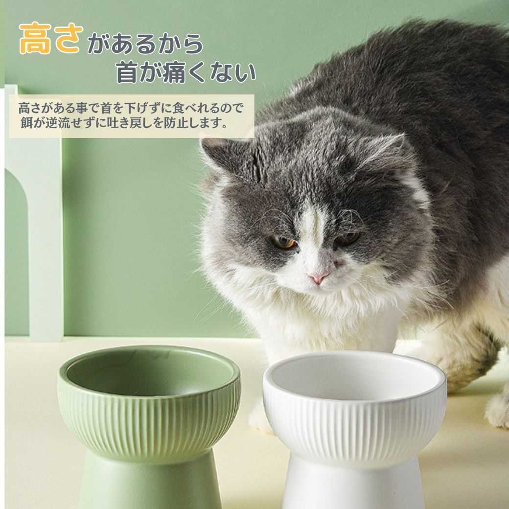 猫 餌入れ 陶器 食器 フードボウル 斜め おしゃれ ペット 犬 ご飯皿 餌皿 器